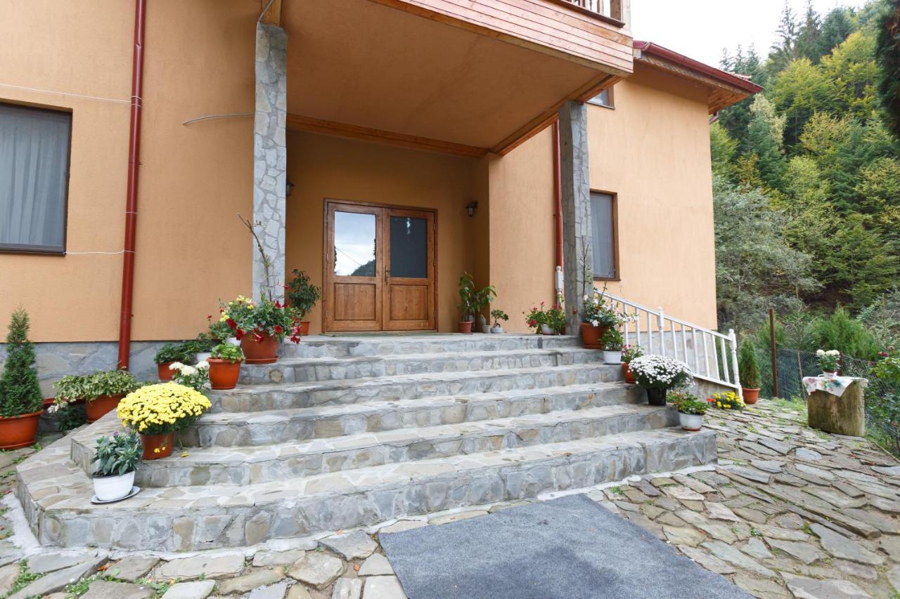Pensiunea Casoca-Cascada Siriu Luaran gambar